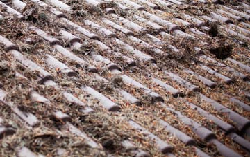 Alsager roof cleaning companies